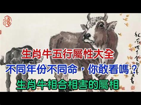 牛的五行屬什麼|【屬牛的五行】牛牛快來瞧！你的五行屬性是什麼？十二生肖五行。